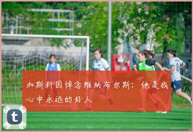 加斯科因悼念维纳布尔斯：他是我心中永远的好人