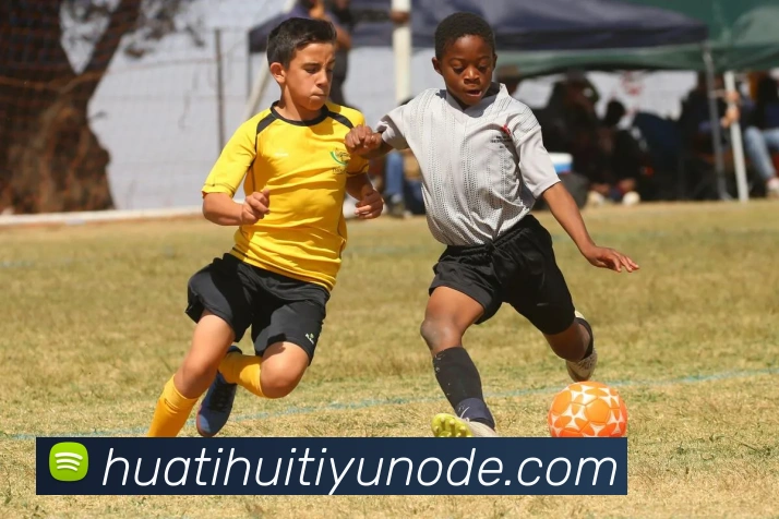 App Interface Preview