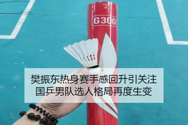 樊振东热身赛手感回升引关注 国乒男队选人格局再度生变（hth）